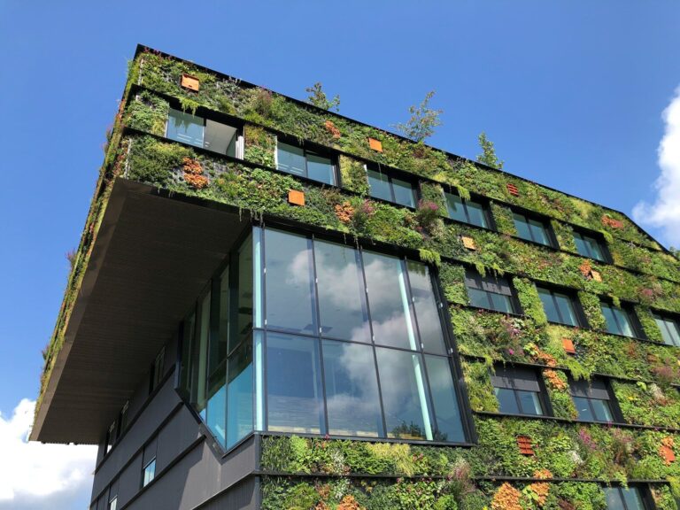 Maison bioclimatique : principes, avantages et coûts en 2026